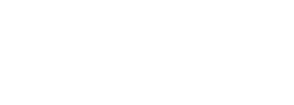 Logo Digistars als Link zur Startseite